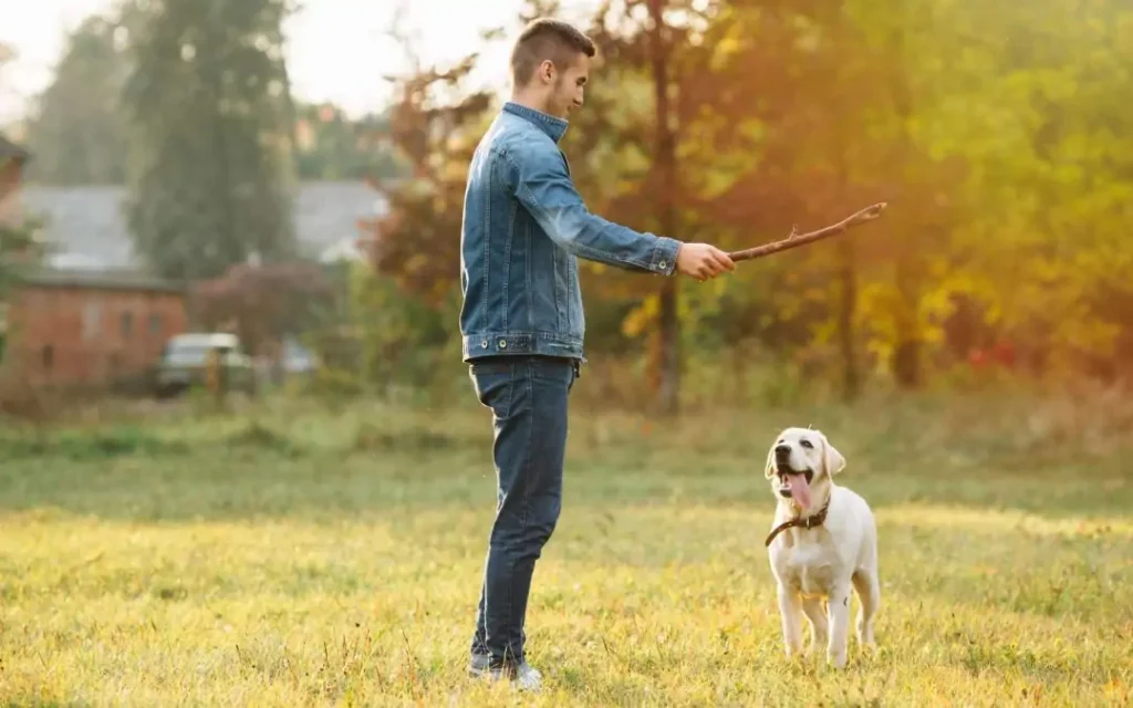 Everything You Need To Know About One To One Dog Training 1080x675 1
